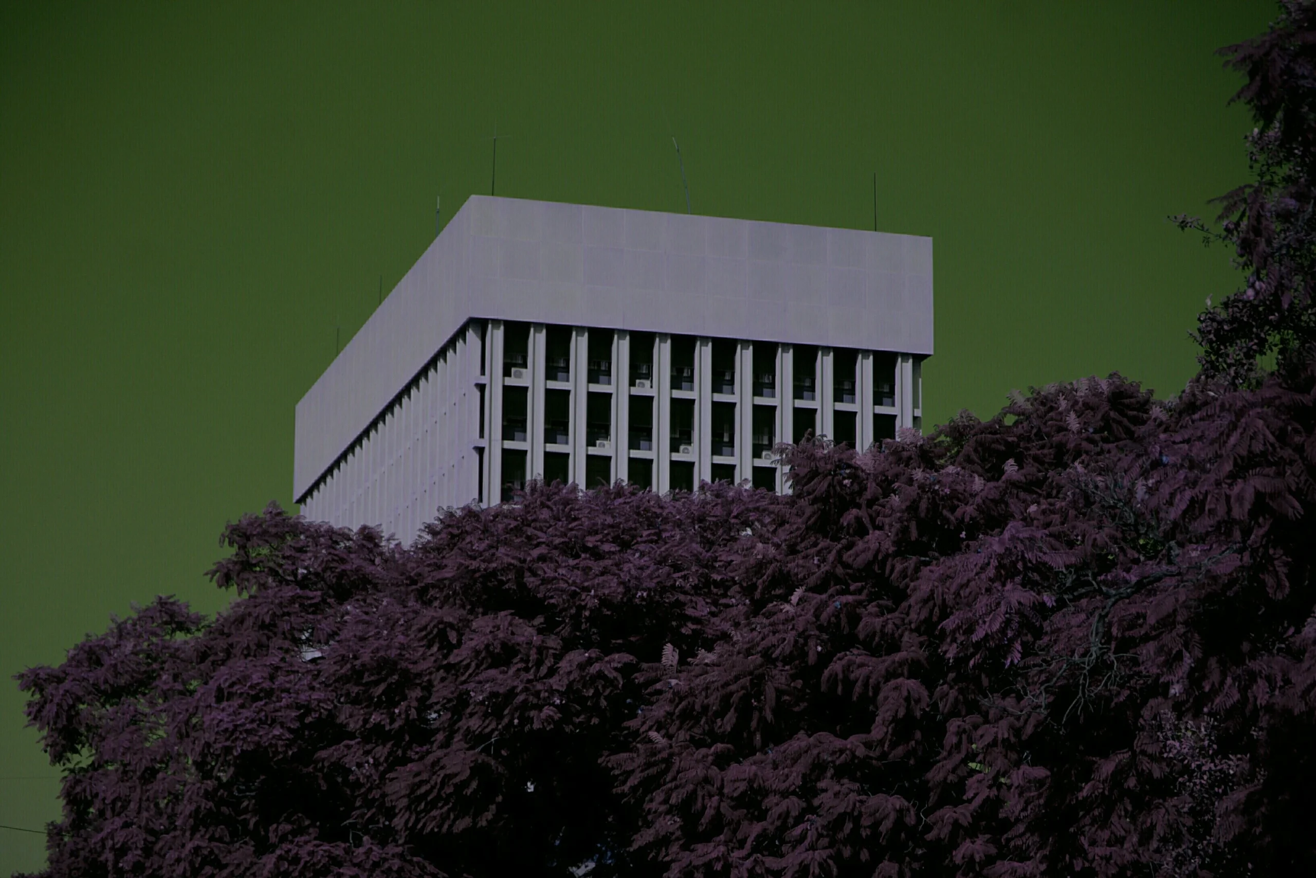 Top Scan to BIM Companies Changing Dubai’s Construction Game